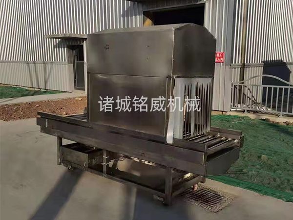 纸箱消毒杀菌机